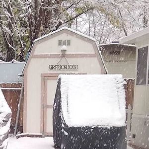 Meet your Posher, Tonya